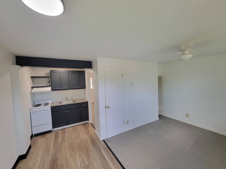 Kitchen and Living Area