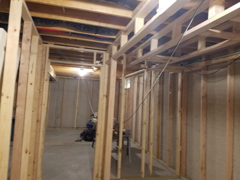 Basement standing in  bed facing west
