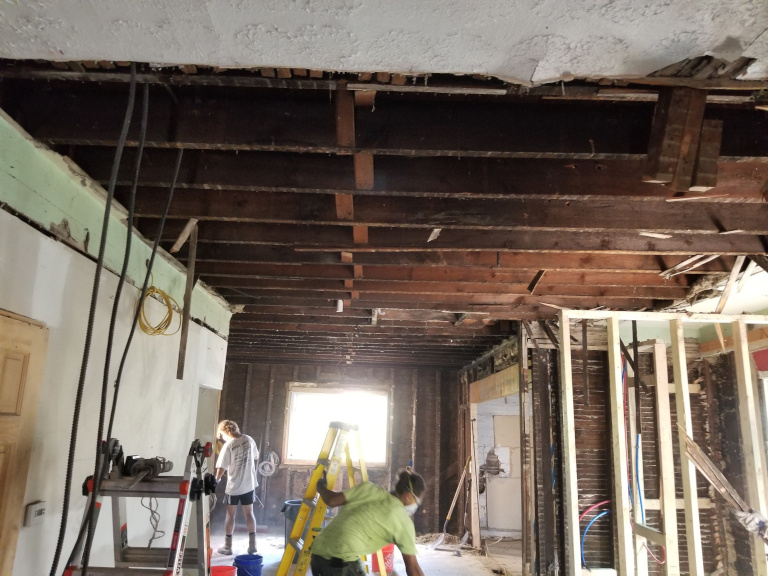 Martin — Zombie Property Gut Remodel — During