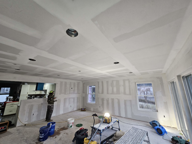 The Millers — New Construction Repair — During